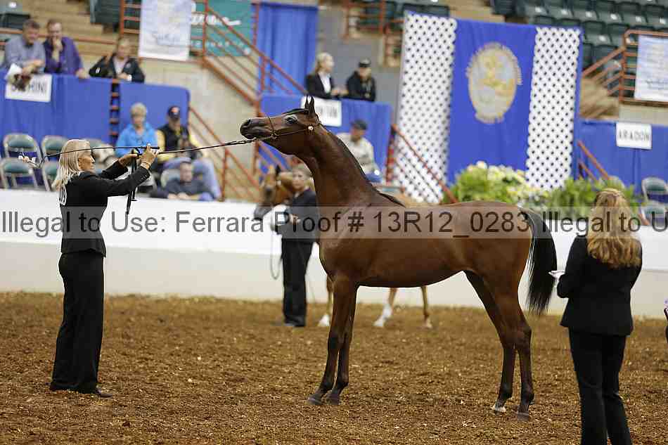 Proof Number 13r12_0283