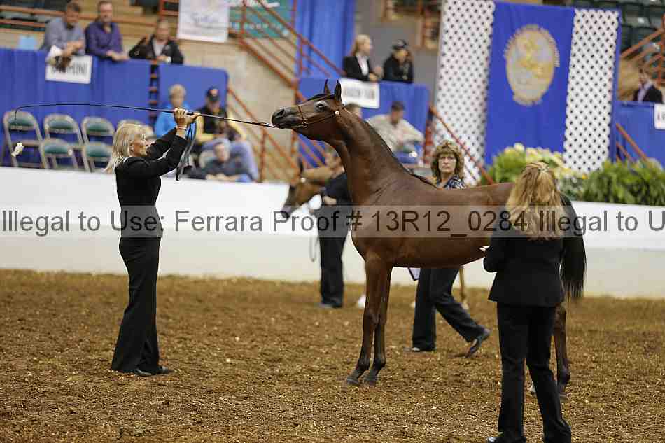 Proof Number 13r12_0284