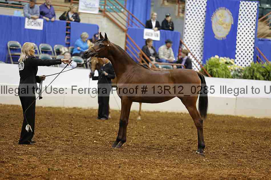 Proof Number 13r12_0285