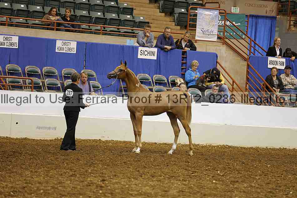Proof Number 13r12_0286