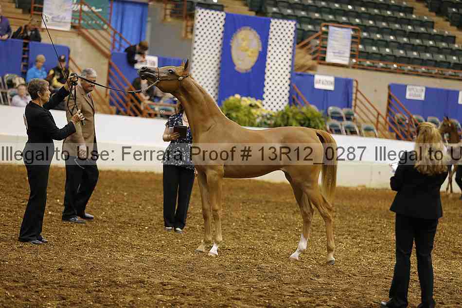 Proof Number 13r12_0287