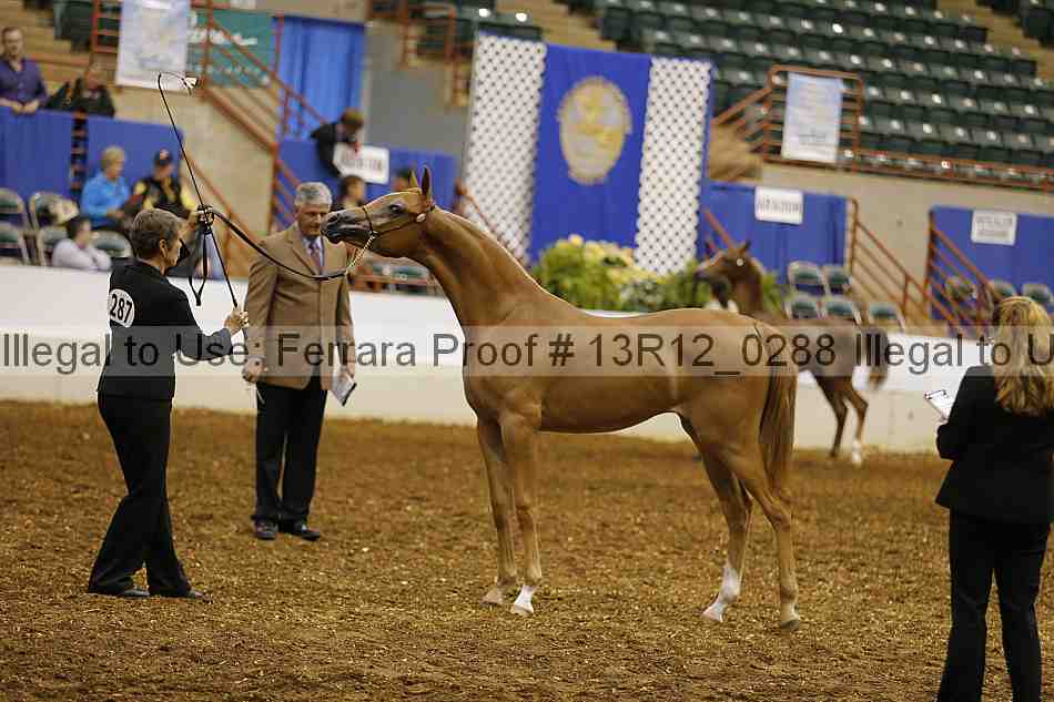 Proof Number 13r12_0288