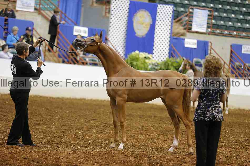 Proof Number 13r12_0289
