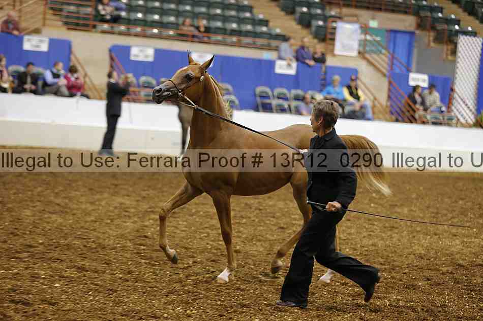 Proof Number 13r12_0290