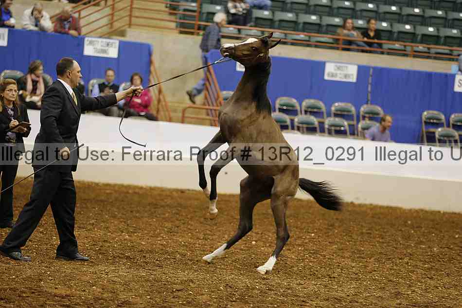 Proof Number 13r12_0291