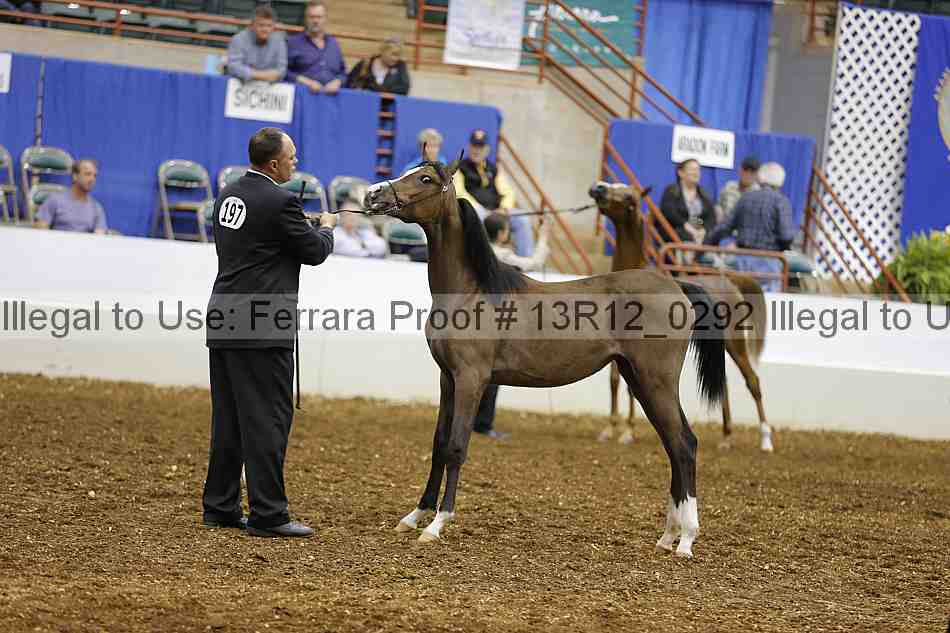 Proof Number 13r12_0292