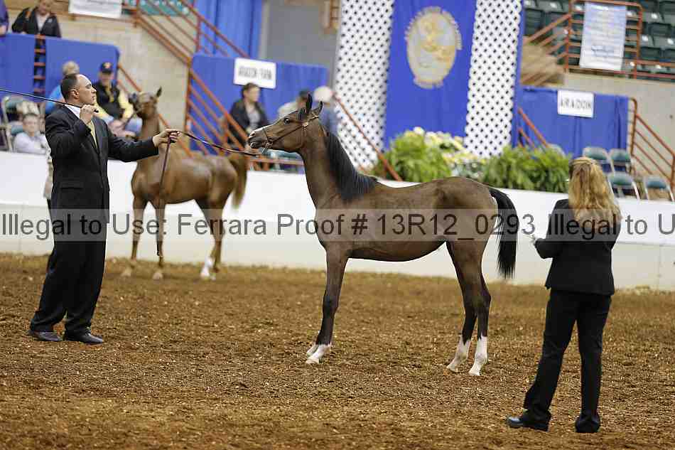Proof Number 13r12_0293