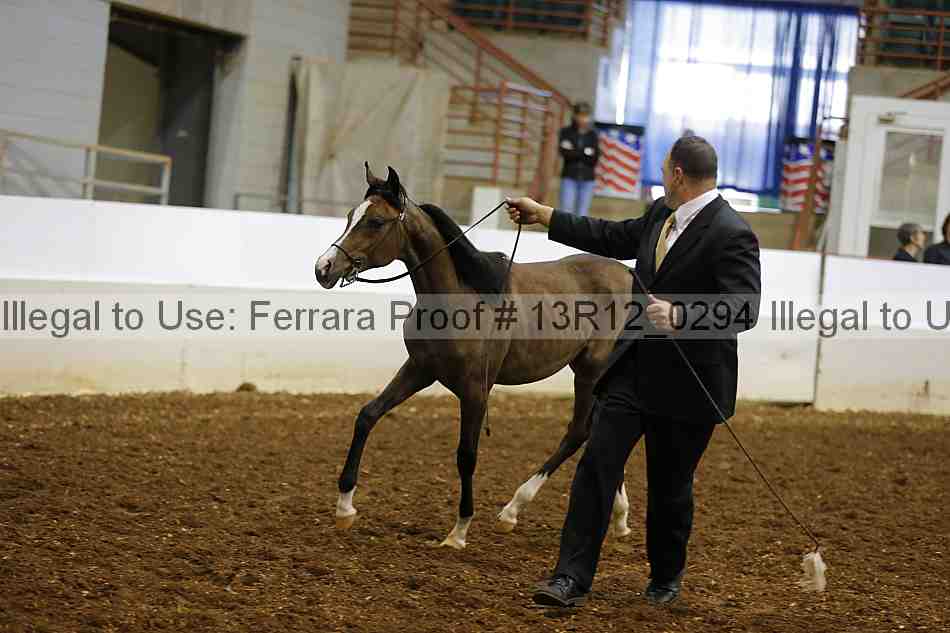 Proof Number 13r12_0294