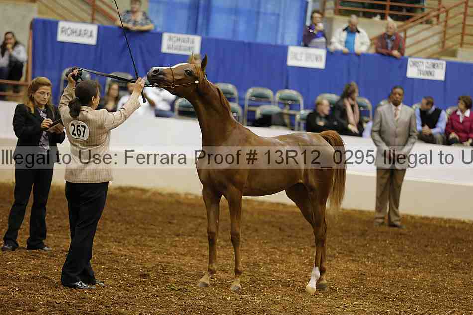 Proof Number 13r12_0295
