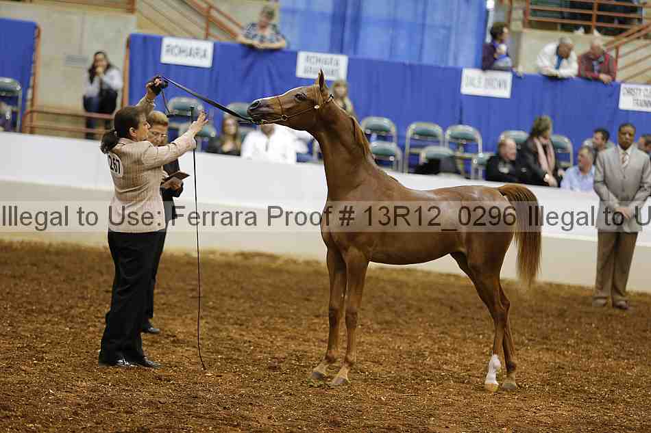 Proof Number 13r12_0296