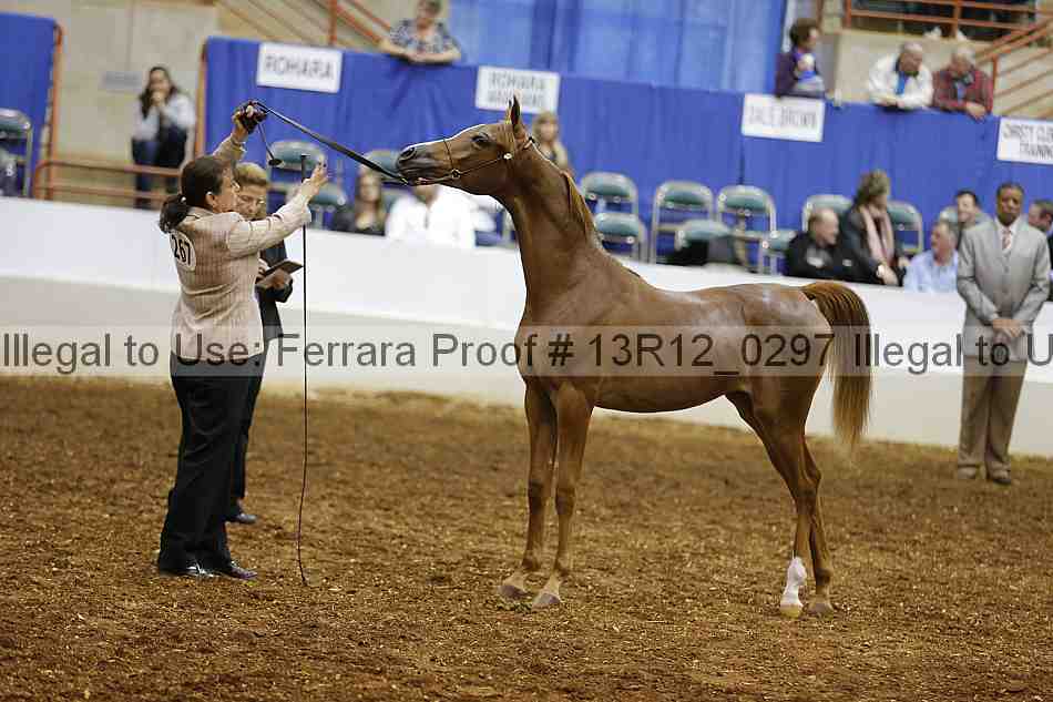 Proof Number 13r12_0297