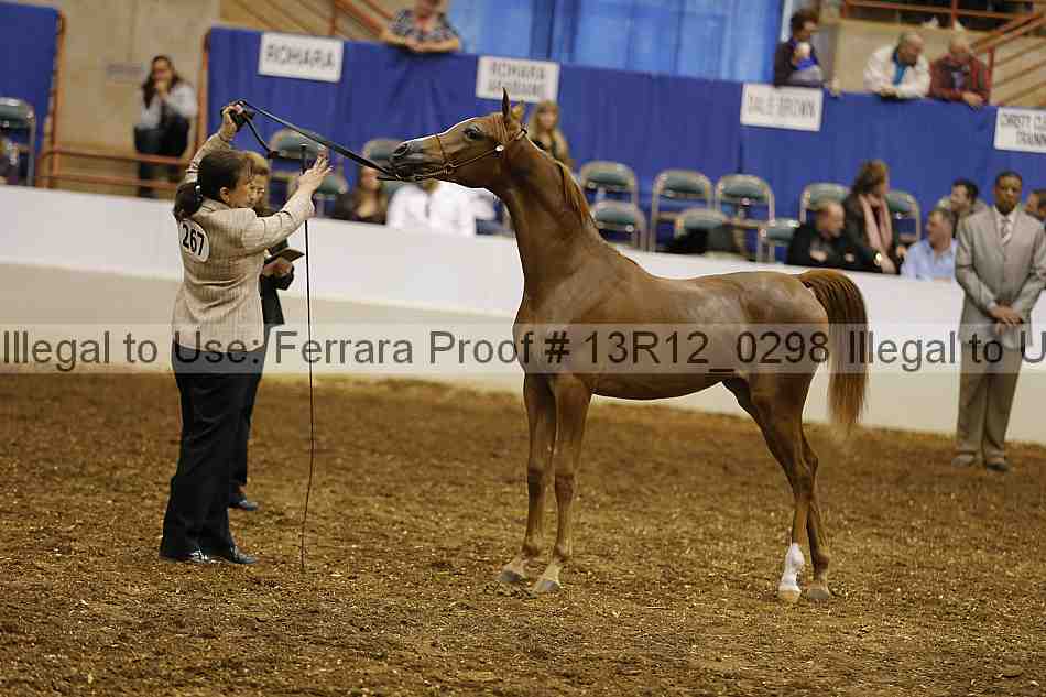 Proof Number 13r12_0298