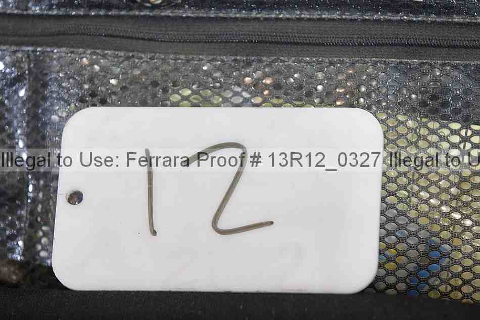 Proof Number 13r12_0327
