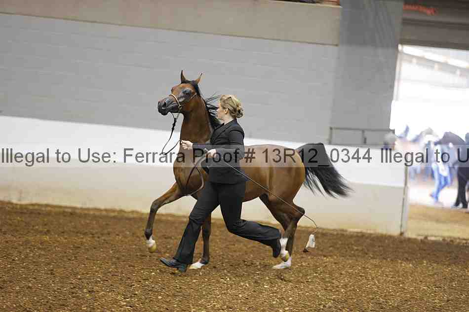 Proof Number 13r12_0344