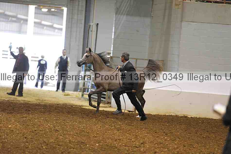 Proof Number 13r12_0349