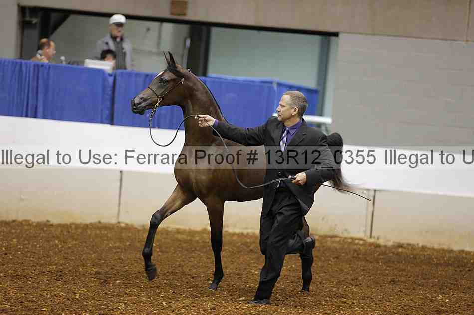 Proof Number 13r12_0355