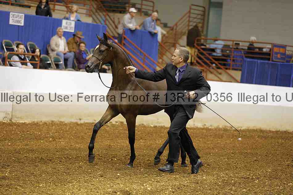 Proof Number 13r12_0356