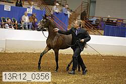 13r12_0356 thumbnail