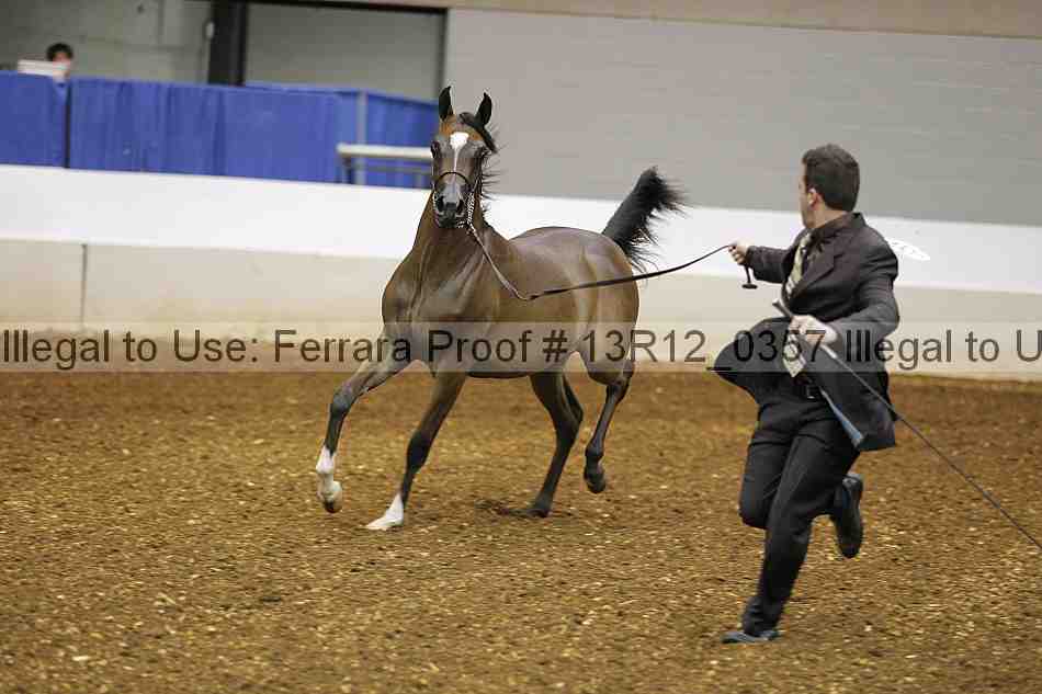 Proof Number 13r12_0357