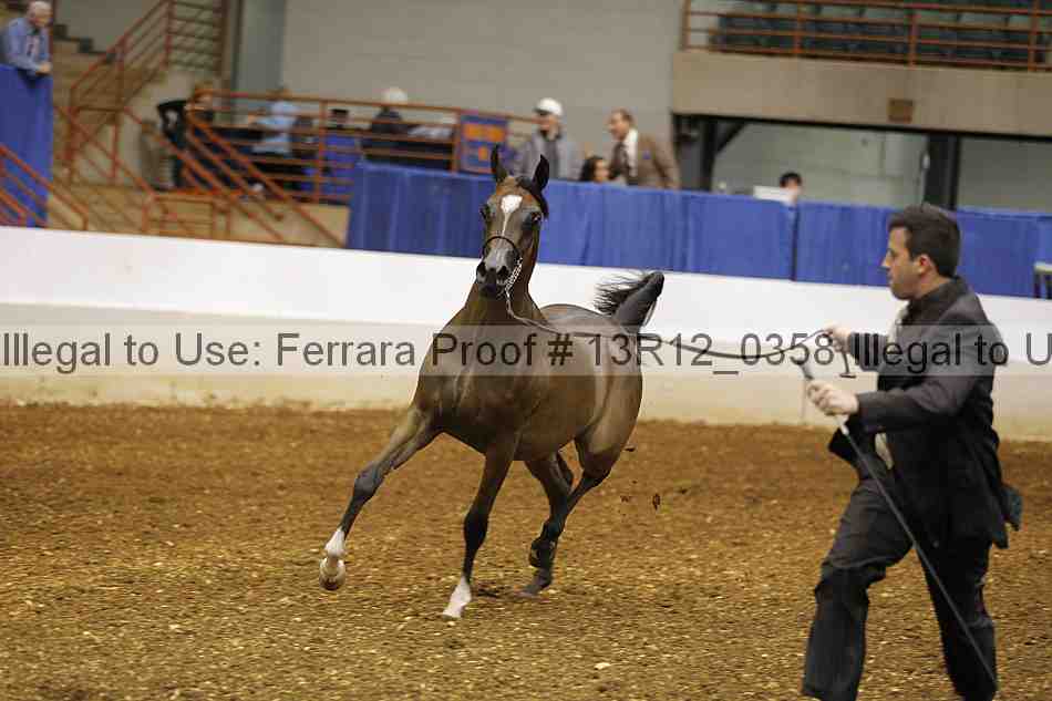 Proof Number 13r12_0358
