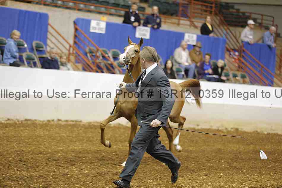 Proof Number 13r12_0359
