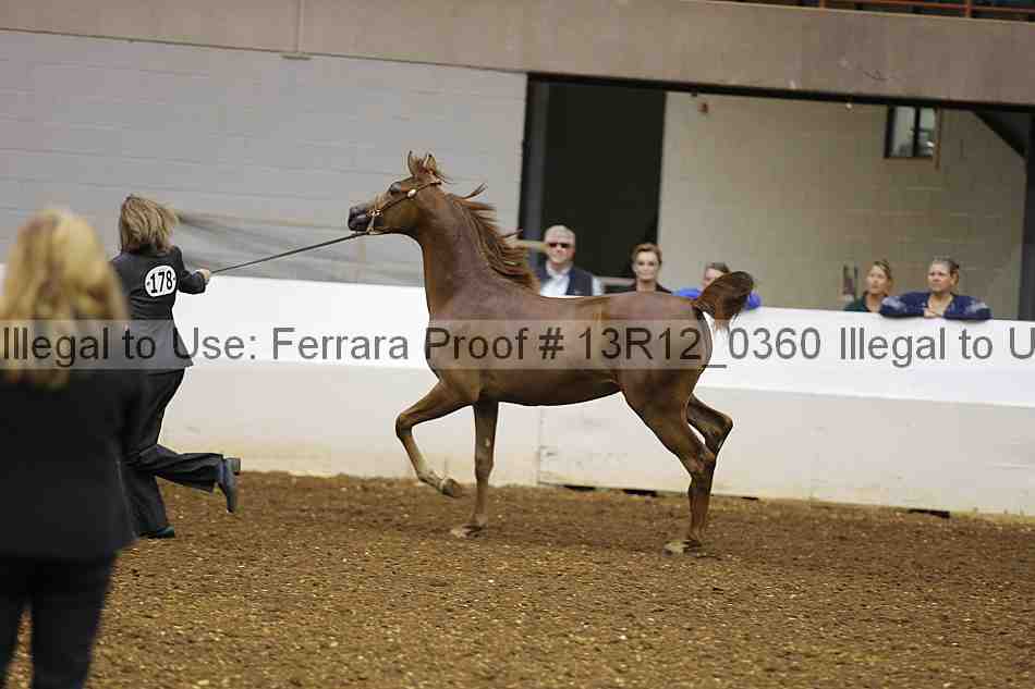 Proof Number 13r12_0360