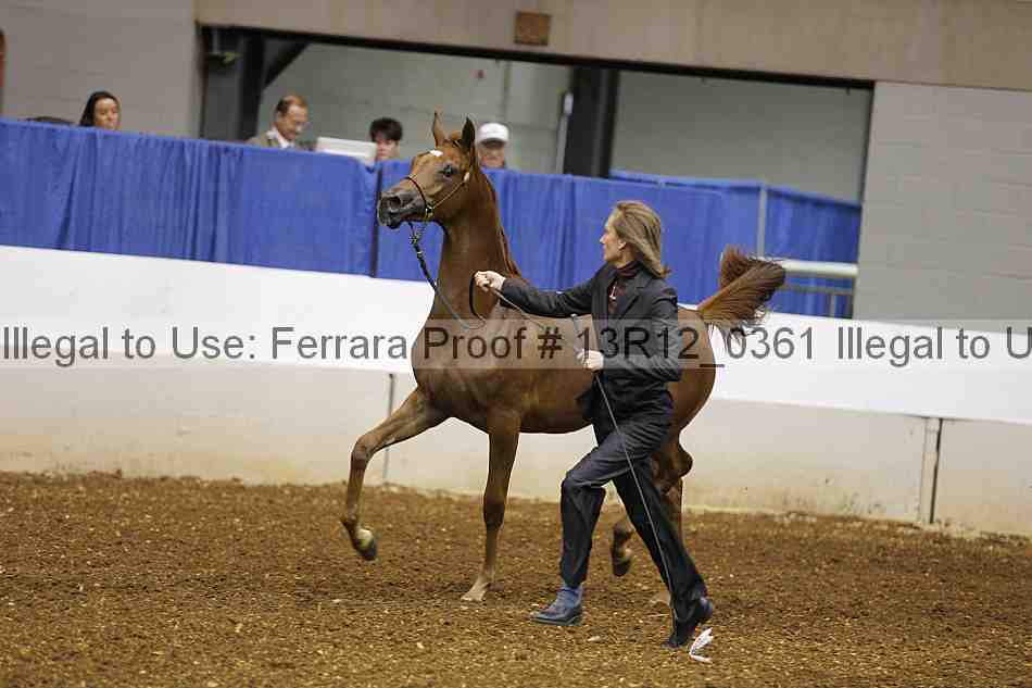 Proof Number 13r12_0361