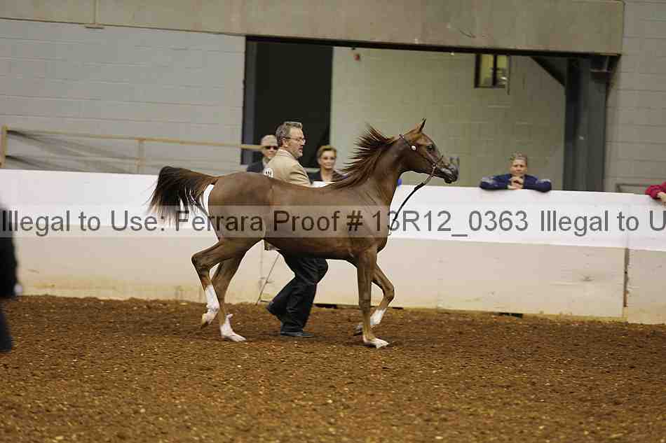 Proof Number 13r12_0363