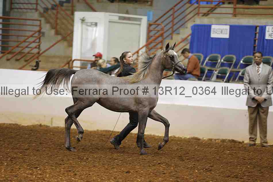 Proof Number 13r12_0364