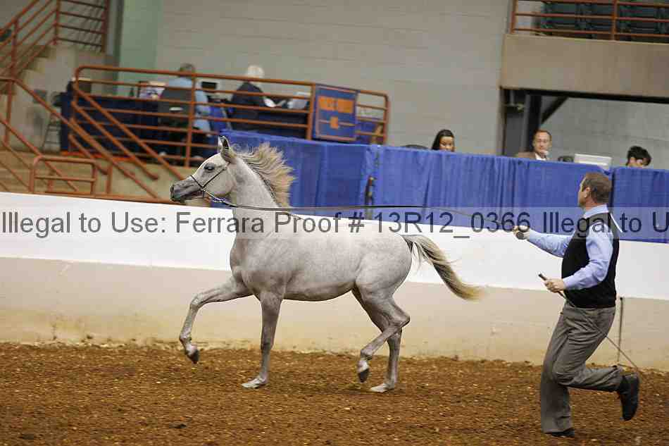 Proof Number 13r12_0366