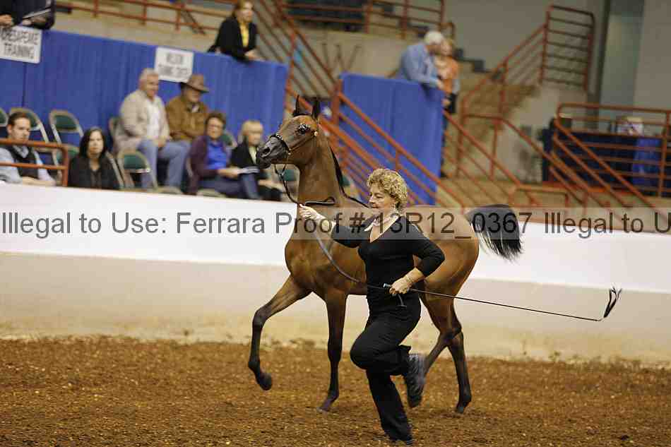 Proof Number 13r12_0367
