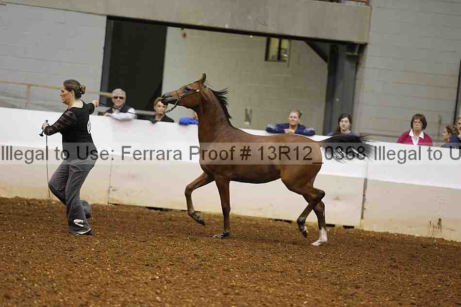 Proof Number 13r12_0368