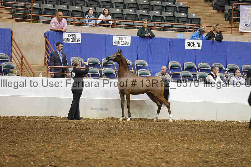 Proof Number 13r12_0370