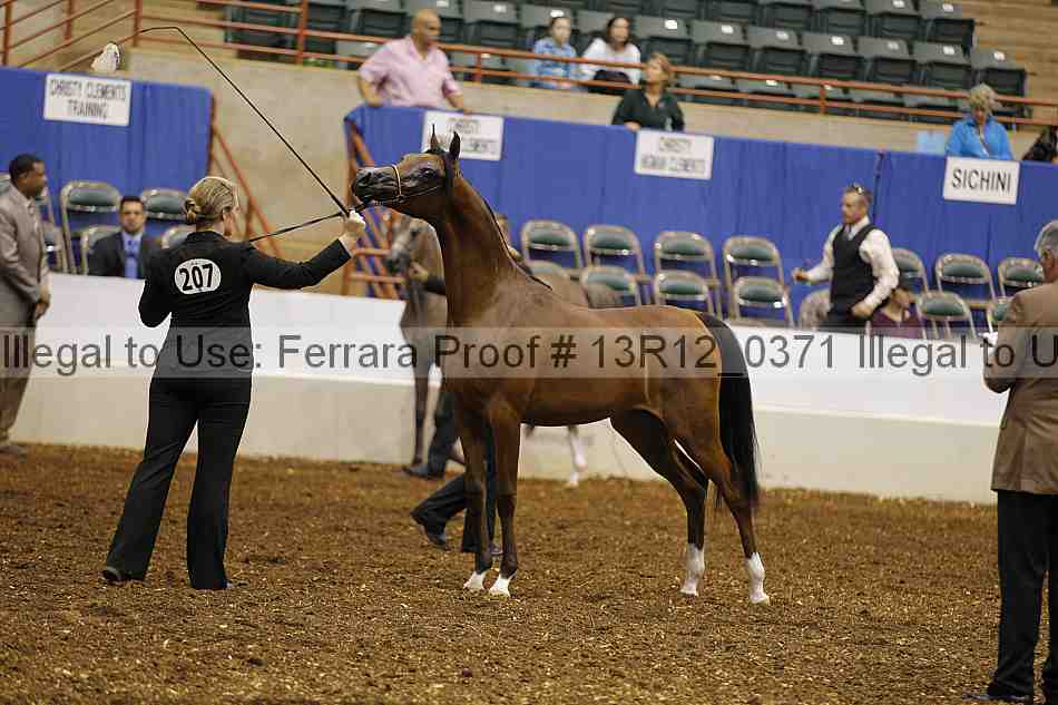 Proof Number 13r12_0371