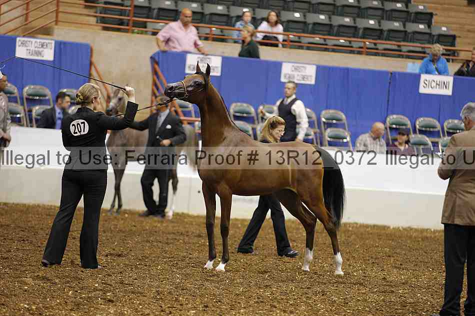 Proof Number 13r12_0372