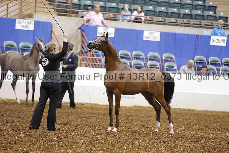 Proof Number 13r12_0373