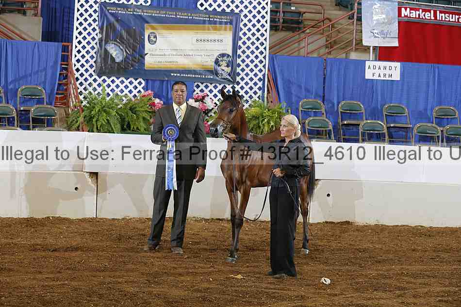 Proof Number 13r12_4610