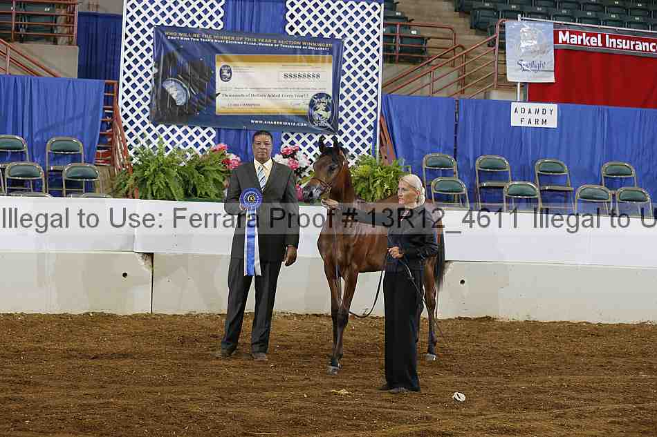Proof Number 13r12_4611