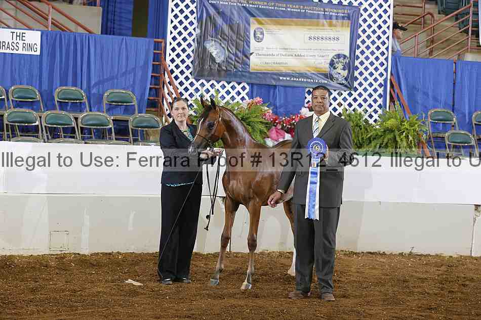 Proof Number 13r12_4612
