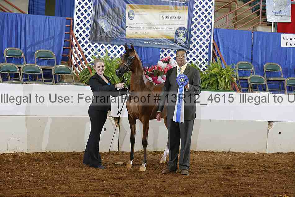 Proof Number 13r12_4615