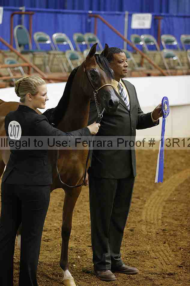 Proof Number 13r12_4617