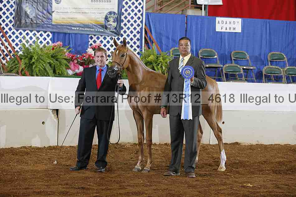 Proof Number 13r12_4618