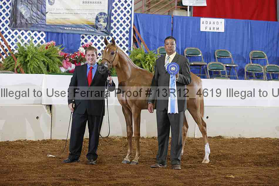 Proof Number 13r12_4619
