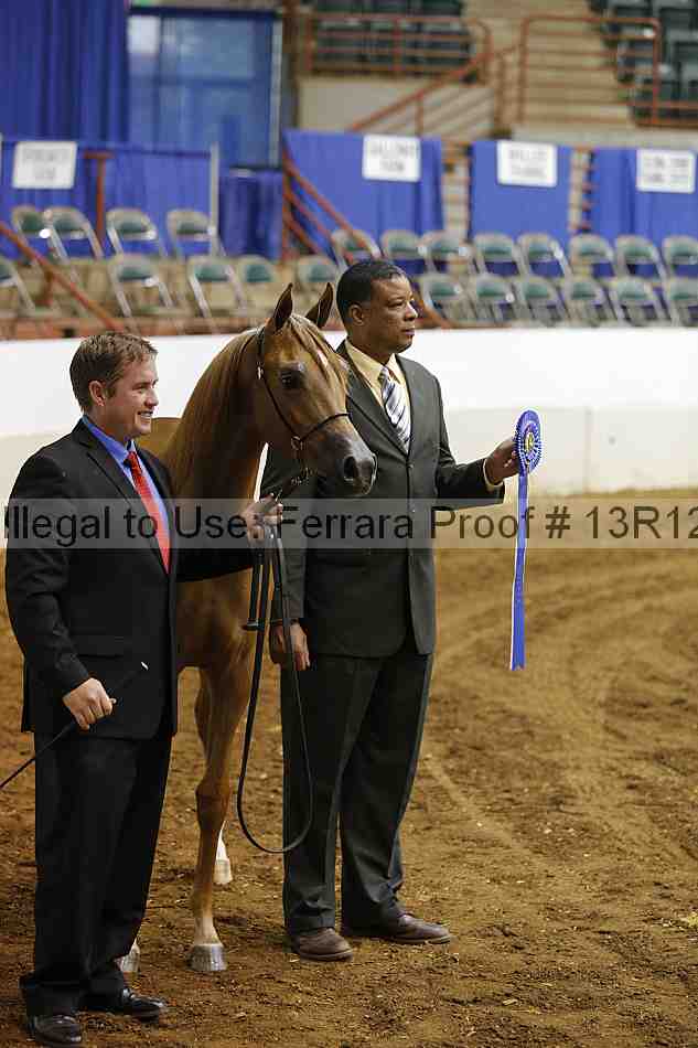Proof Number 13r12_4620