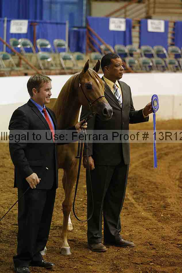 Proof Number 13r12_4621