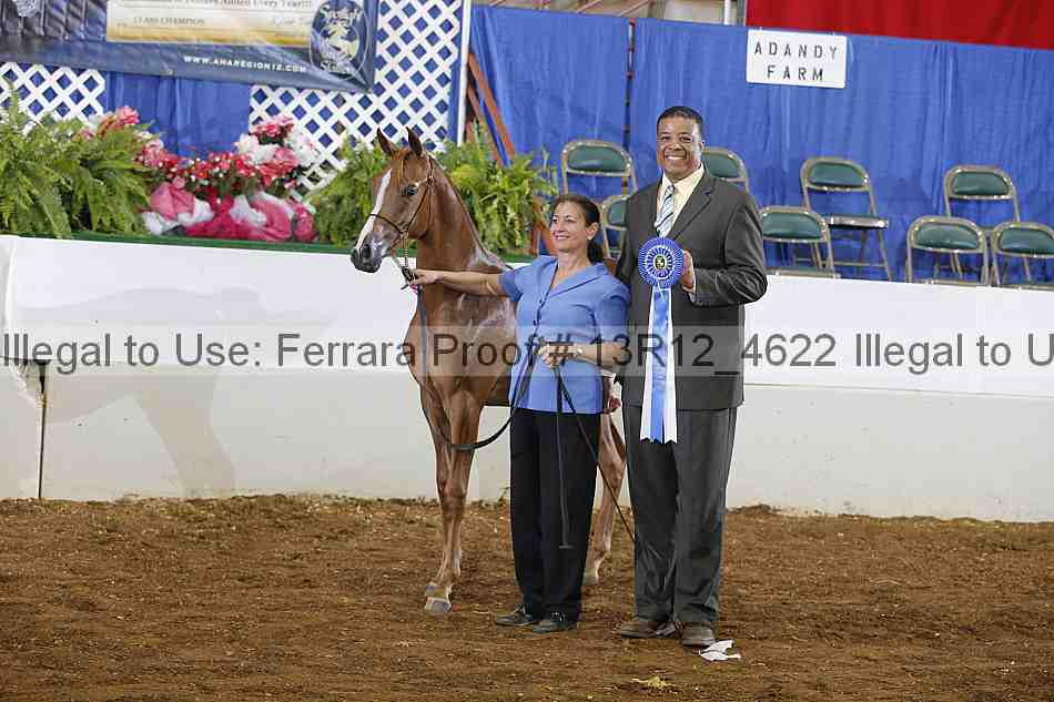 Proof Number 13r12_4622