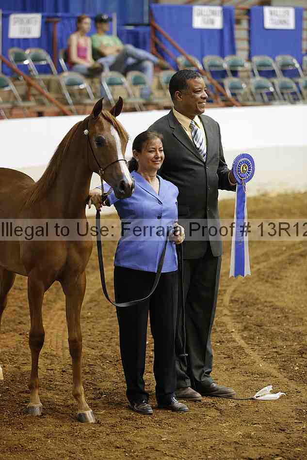 Proof Number 13r12_4625