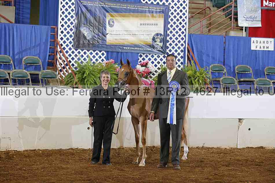 Proof Number 13r12_4627