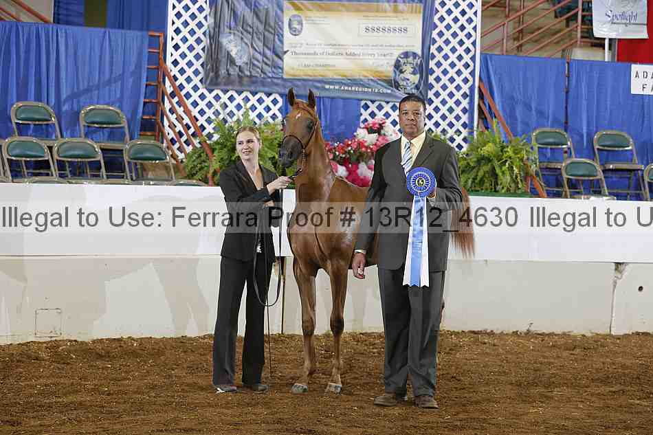 Proof Number 13r12_4630