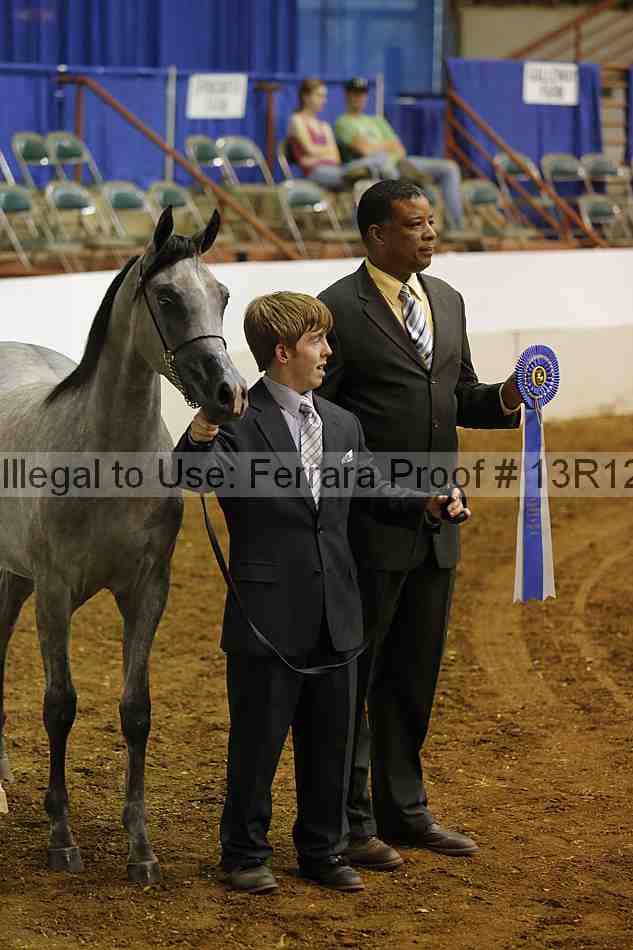 Proof Number 13r12_4635